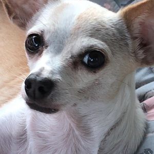 Hi! Feel free to make an offer!